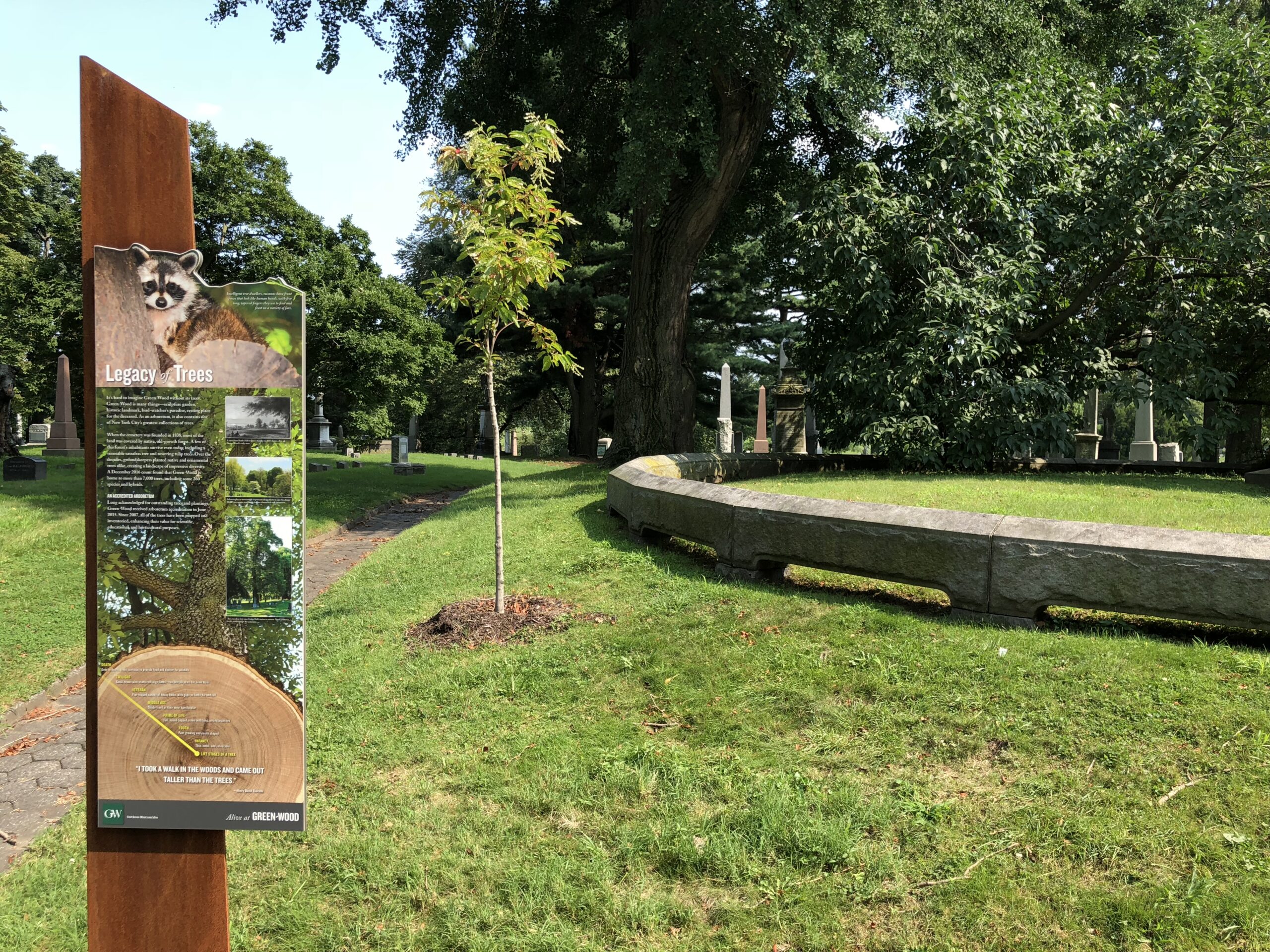 GREENWOOD-MARKER-SELECTS__05-scaled