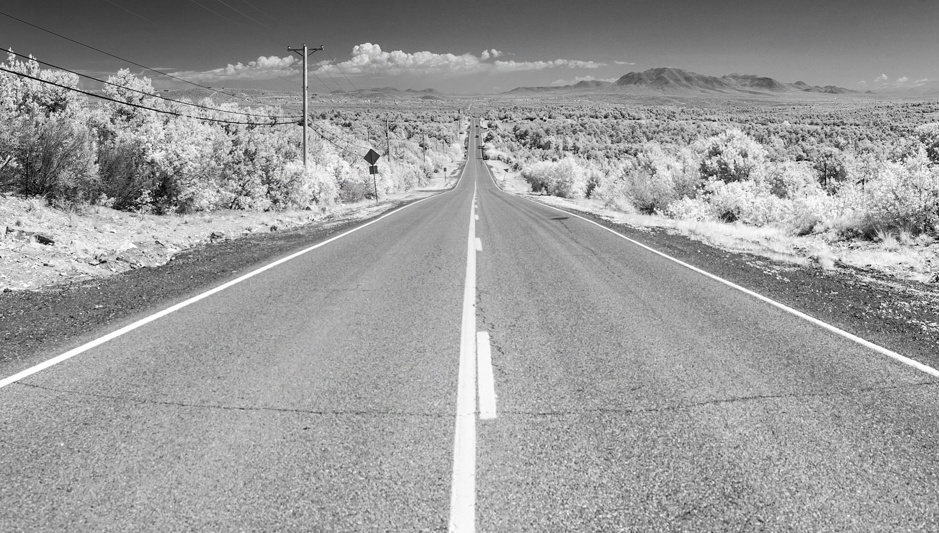 NEVER BEEN | NEVER LEFT_Thumb