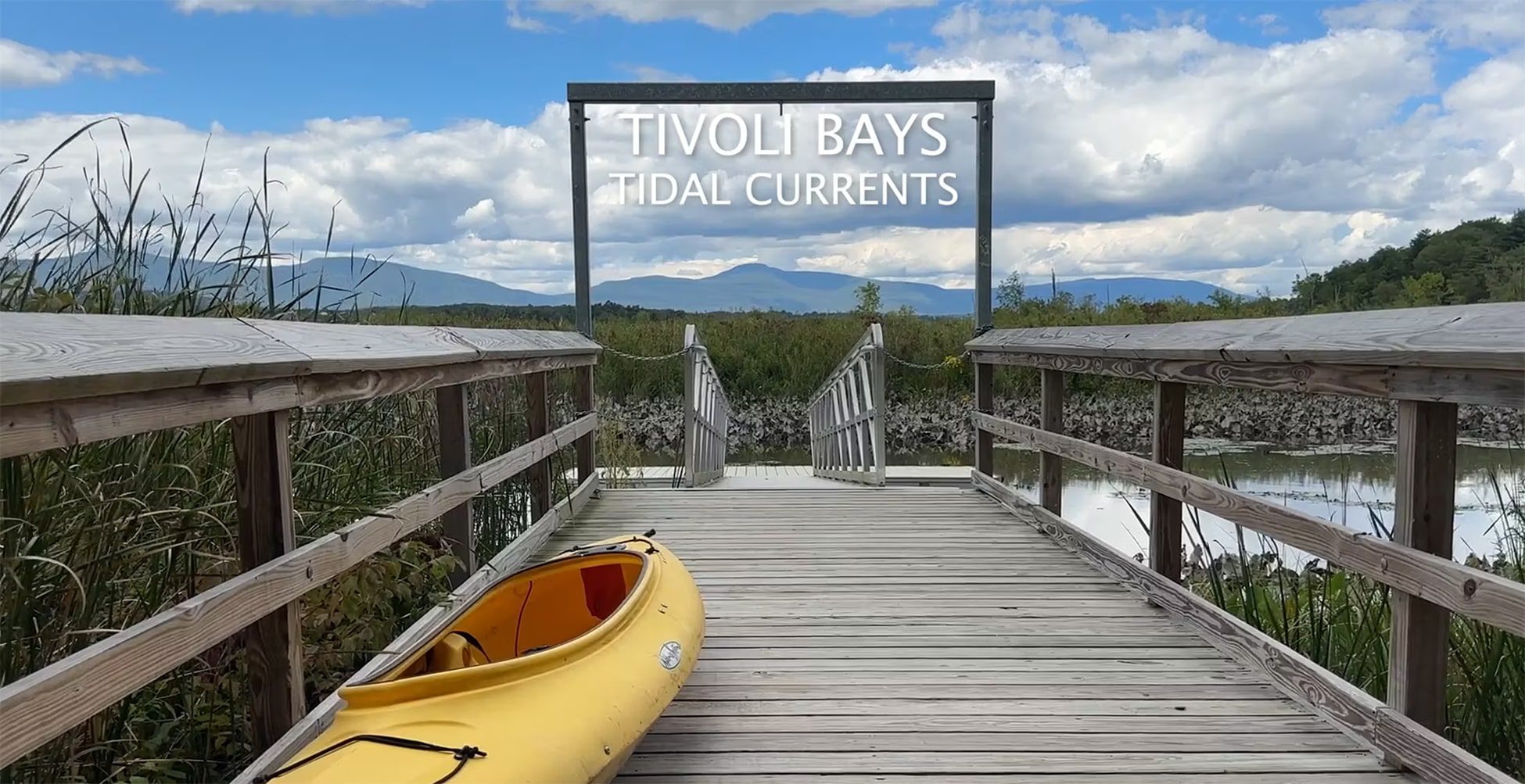 TIDAL CURRENTS_Thumb