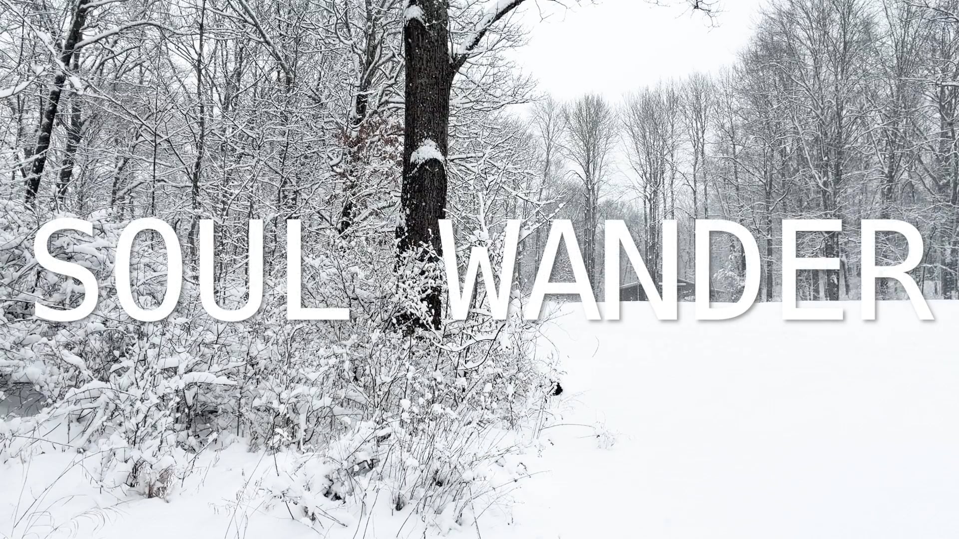 SOUL WANDER_Thumb